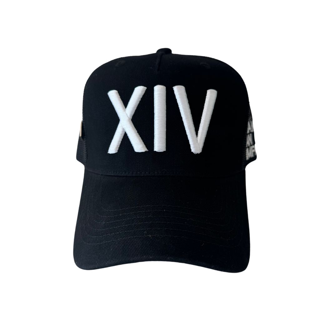 XIV - CLIMBING FOR A CAUSE HAT